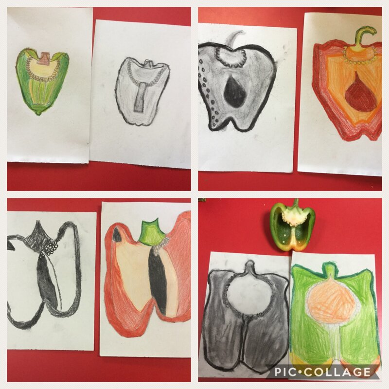 Image of Still Life by Year 4